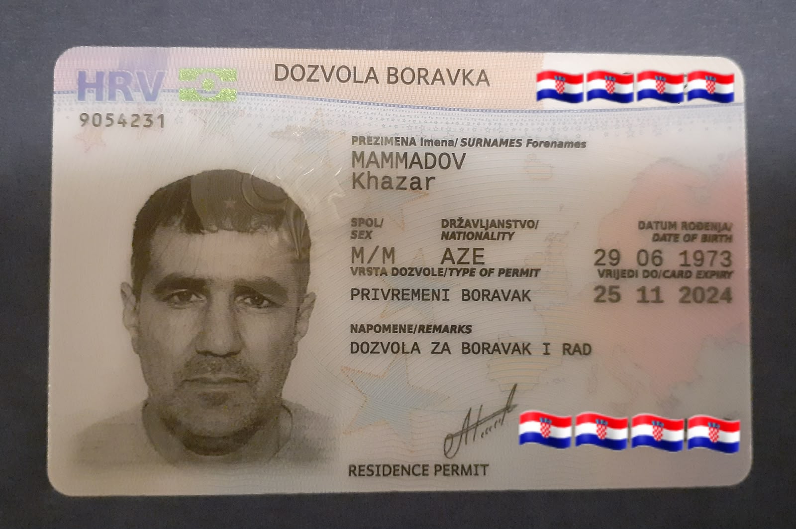 Slovenya iş vizesi