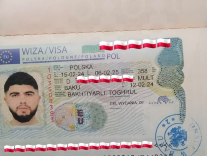 Polonya iş vizesi
