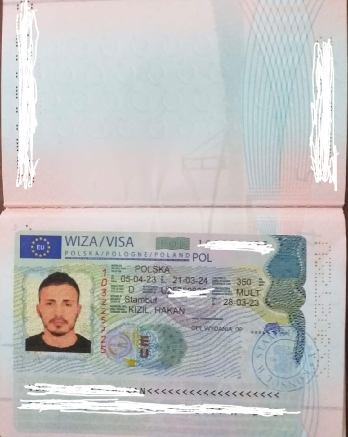 Polonya iş vizesi